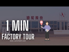 Scopra la più grande fabbrica acida al piombo accumulatore per di automobile dell'Asia in appena 1 minuto