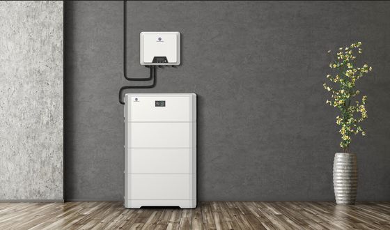 Tipo residenziale del cammello HESB1 di stile della pila del sistema di immagazzinamento dell'energia di 10KWH 102V