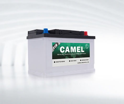 Batteria automobilistica di inizio di arresto dell'automobile della batteria al piombo EFB del cammello 12v 40ah di MF